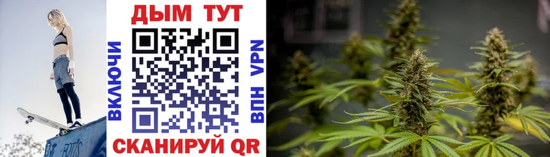 Бошки марихуана THC 21%  Купить закладки  Подольск 